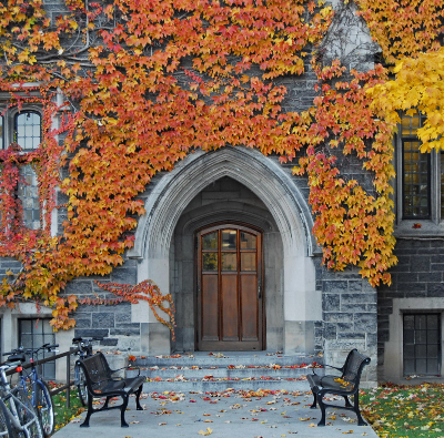 A building covered in autumn leaves.